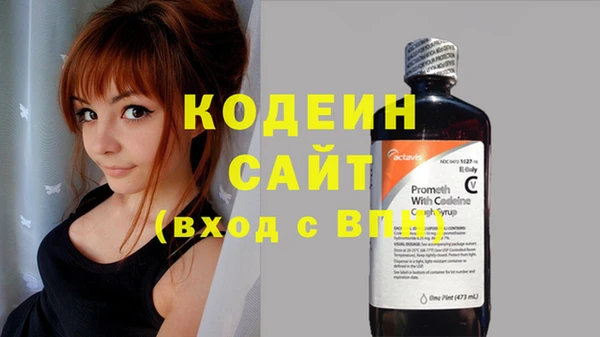 прущий лед Шали