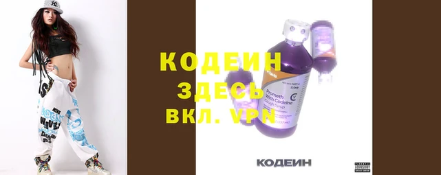 прущий лед Шали