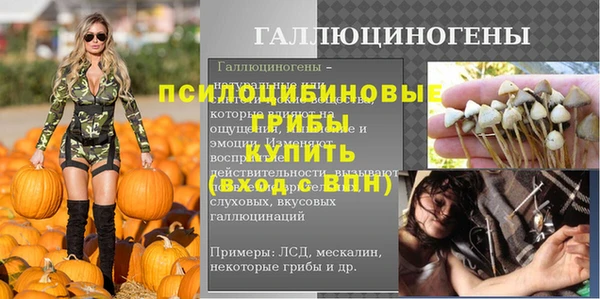 твердый Елабуга
