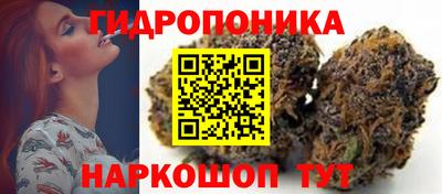 гидра Тверь