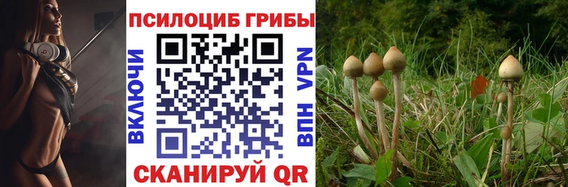 Галлюциногенные грибы мицелий  Курск 
