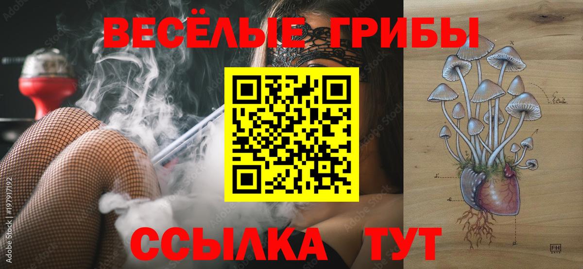 Псилоцибиновые грибы ЛСД Курск